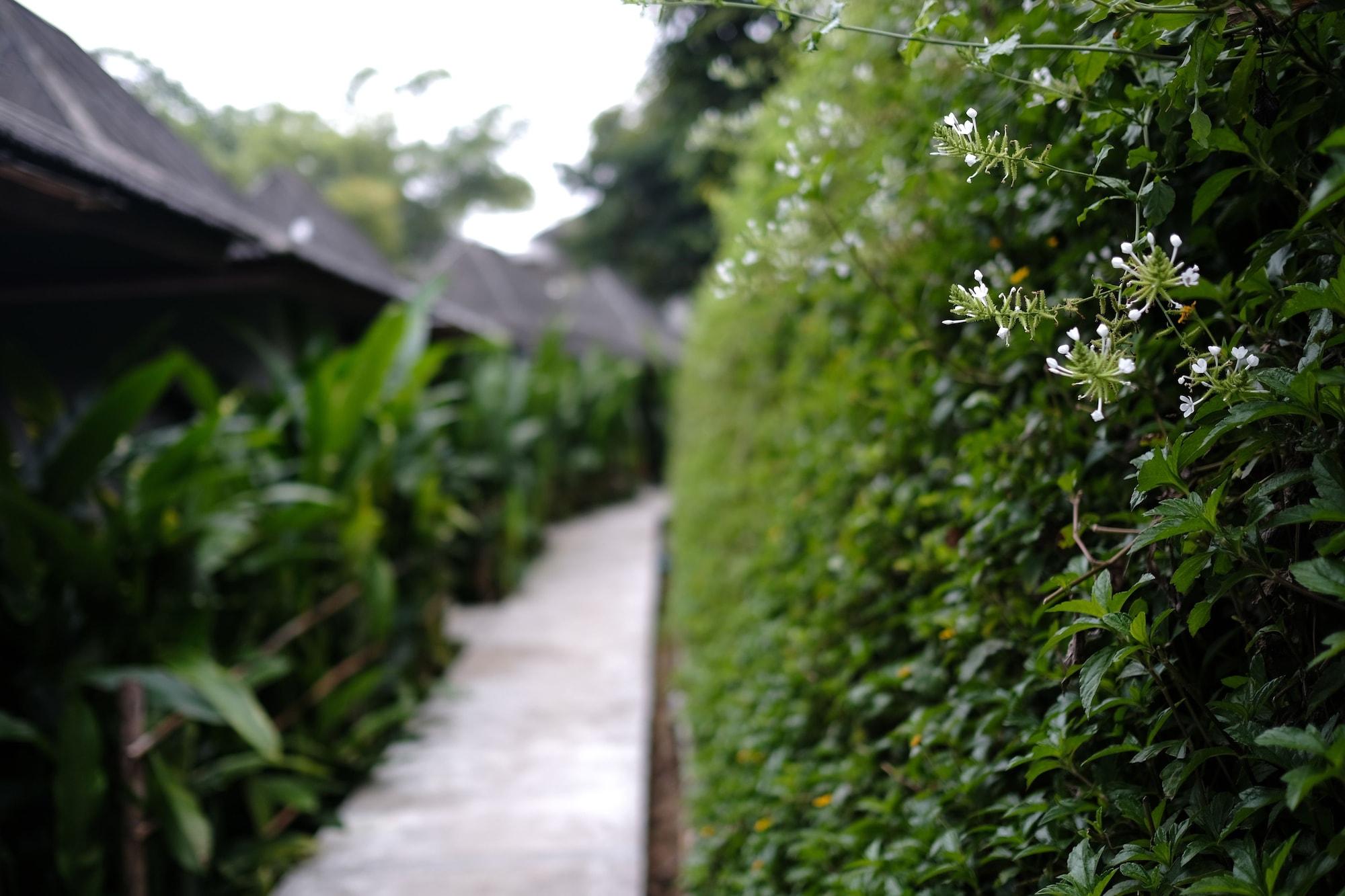 Yoma Hotel, Pai Exterior foto